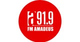 Amadeus