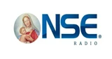 NSE Radio 91.3 FM