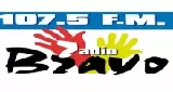 Radio Bravo 107.5 FM, La Joya