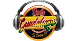 Radio Guadalupe 103.1 FM