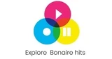 Explore Bonaire Hits