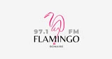 Radio Flamingo 97.1Fm bonaire