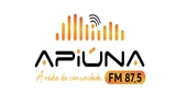 Rádio Apiúna FM
