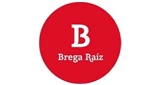Brega Raiz