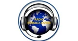 Radio Embalo Jovem