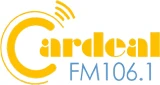 Rádio Excelsior 106.1 FM