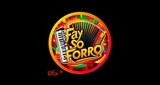 Fay Só Forró das Antigas
