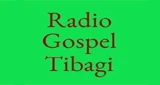 Rádio Gospel Tibagi