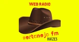 Hits FM, Ponta Grossa
