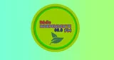 RÁDIO INDEPENDENTE FM