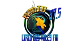 Rádio Lirio dos Vales 87.5 FM