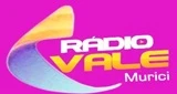 Radio Vale Murici