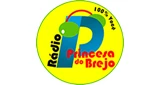 Rádio Princesa do Brejo FM