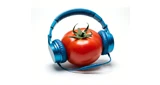 Web Rádio Capital Do Tomate
