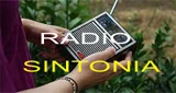 Radio Sintonia, Nova Andradina