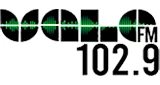 Rádio Vale AM