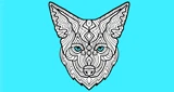 Coyote New Country 103.3 HD2