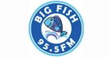 Big Fish