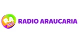 Araucaria