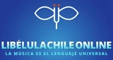 LibelulaChile señal 1