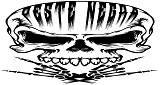 Radio Peste Negra