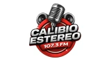 calibio Estereo popayan