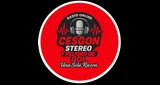 Cesgon Stereo