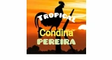 Condina Tropical Pereira