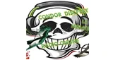 Condor discplay la radio online