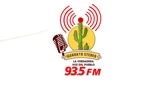 Iguaraya Stereo