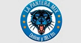La Pantera Usme 98.1 fm