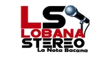 Lobana Stereo