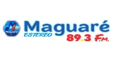 Maguaré Estéreo