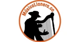 Musica Llanera Radio, Tame