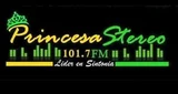 Princesa Stereo 101.7 Fm