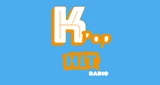 K-pop Hit
