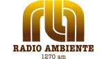 Radio Ambiente, Baní