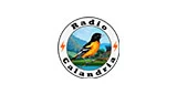 Radio Calandria