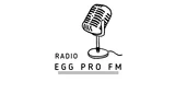 RADIO EGG PRO FM
