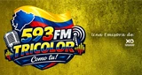 Radio Explosion Hits FM Ecuador