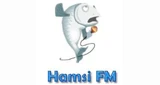 Hamsi FM, Helsinki