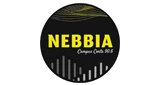 Nebbia Radio Campus Corte