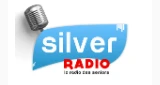 Silver Radio, La Ferté-sous-Jouarre