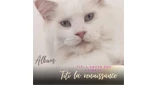 Radio titi l'amour des animaux