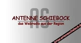 Antenne Schiebock