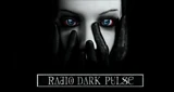 Radio Dark Pulse