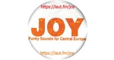 Radio Joystick