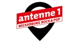 Radio Neckarburg