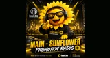 Sunflower Promotion Main