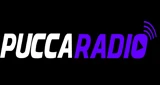 Pucca Radio